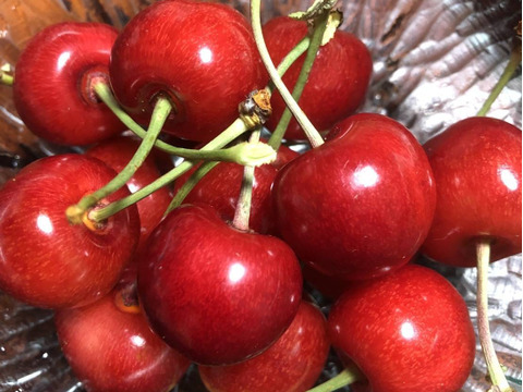 🍒⚠️期間限定【祝✨新規出品特別価格】🍒【訳あり】【佐藤錦】【M・L混合】【1kg】山形県東根産　※色のばらつき、双子、傷、多少のうるみ等有り
