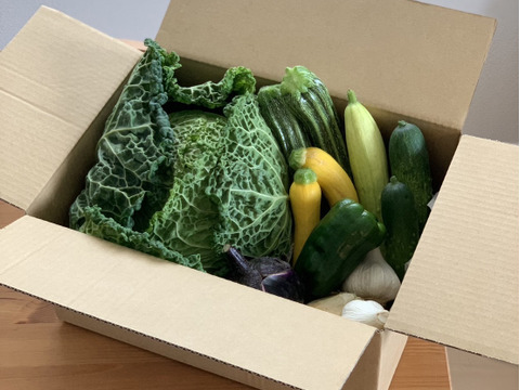 【野菜ボックス】6～8品目のセット販売