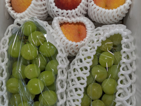 きららのきわみとシャインマスカット