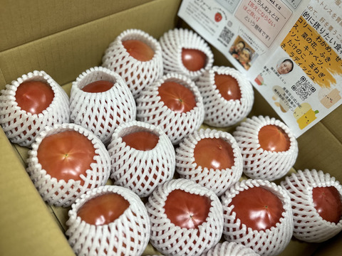 【こだわり土耕栽培】濃厚な愛情と旨み！こてらんねぇトマト M〜Lサイズ(約3kg 入り)