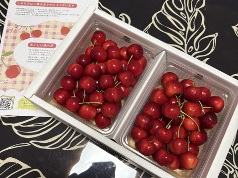 やまがた紅王】🍒1キロ🍒【2Lサイズ以上】【さくらんぼ】【話題の新