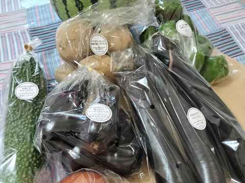 定期購入専用Mサイズ【栽培期間中農薬不使用】季節のお野菜詰め合わせ[6～8品目］