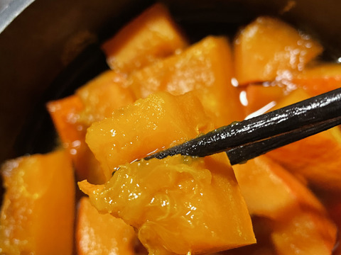 しっとり♪伝統野菜！打木赤皮甘栗かぼちゃ2個入