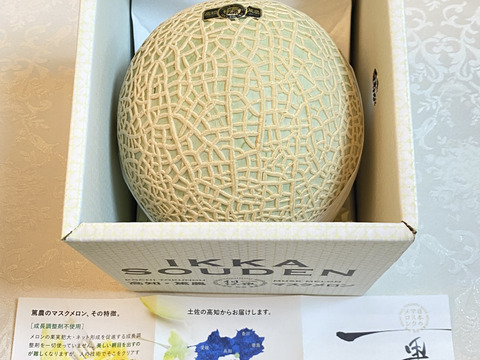 特売！ 高級メロン 数量限定 11 恐ろしい