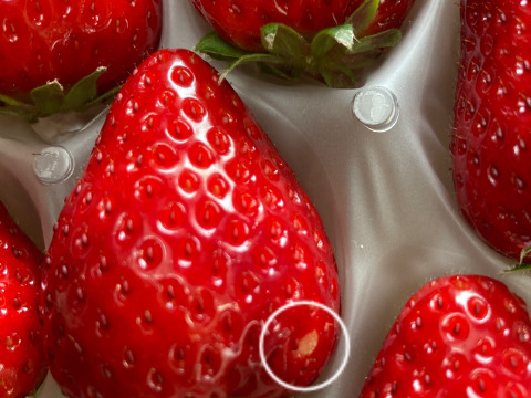 家庭用　訳あり　古都華　奈良県　奈良県　橋本農園　ことか　270g×2パック　いちご　苺　【母の日ギフト】