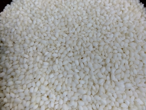 長野県産2025年度もち米　かぐらもち