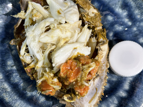 日間賀島産ワタリガニ~雌1kg【活発送】写真の個体を7/3まで注文受付ます
一枚様限定‼︎350g〜400g個体
大切な人へのプレゼントで是非❗️