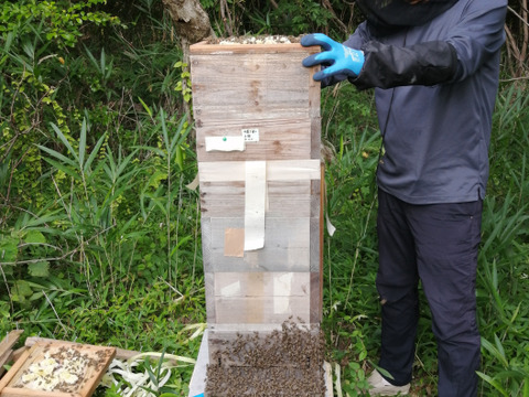 自然のしずく 日本蜜蜂のはちみつ（M）280g 3400円