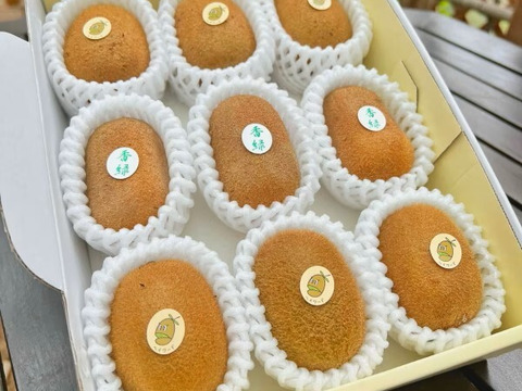 【迷ったらコチラがおすすめ！】この道50年！プロキウイ農家おすすめの季節限定2品種入るお任せキウイセット【熨斗対応可】9個前後入り(M2)