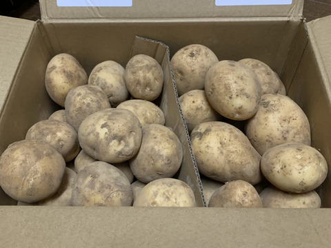 《冬の新じゃが》５KG  品種ニシユタカ 五島列島産 自然農業での栽培