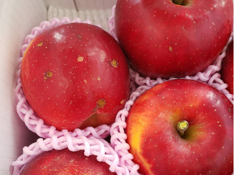 まるせい果樹園の紅玉　3ｋ　訳あり　家庭用　自家用　加工用 rk5