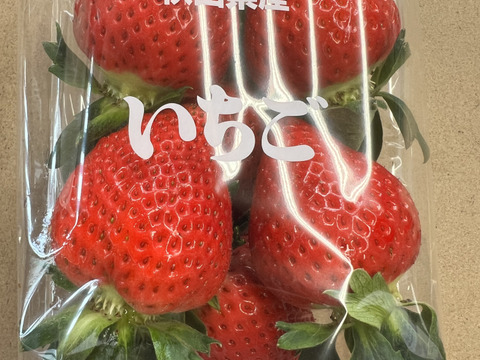 甘さと酸味が奏でる贅沢いちご】イチゴ 乳酸菌 発酵 ストロベリー