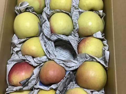 【訳あり・バラ詰め・小玉多め】ぐんま名月💛約2.7Kg🍏青森県産　数量限定　コスパの鬼