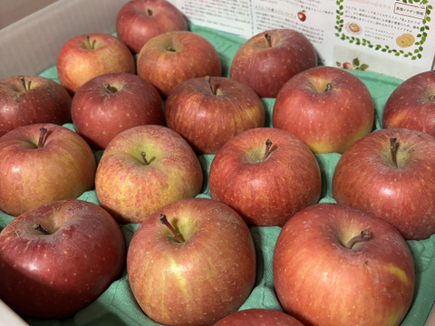 【スマートフレッシュりんご】木成り完熟「サンふじ家庭用5ｋｇ」