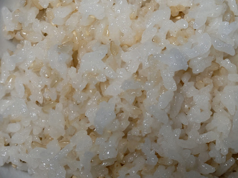 新嘗祭に佐賀県産にこまる玄米の新米です。