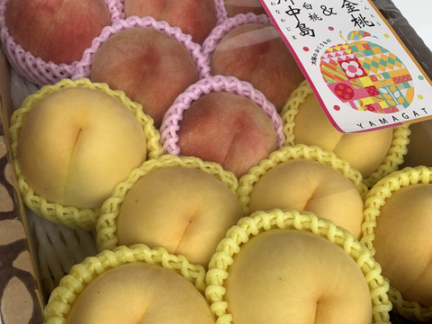 山形県産川中島白桃と黄金桃【3キロ小玉詰め合わせ】