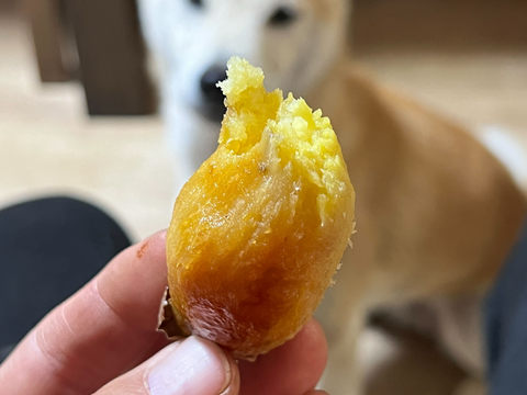 島育ち！東京都産『ちびっこさつまいも』2kg