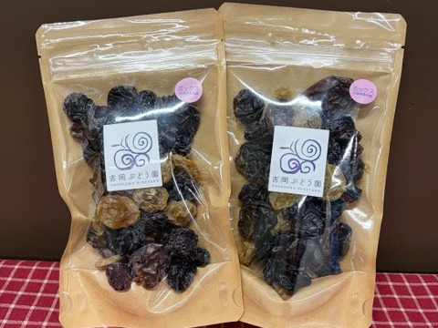 ぶどう農家の干しぶどうミックス（１００ｇ入り×２袋）