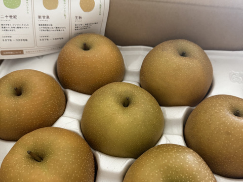 新鮮‼️甘すぎる新甘泉　５キロを2箱セット 予約数量限定「新甘泉」2.5キロ(5～9玉)×2箱ｾｯﾄ たにがみ農園 果汁