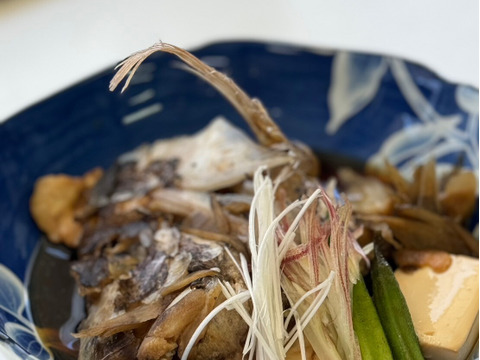 【福袋2025】漁師直送朝どれお魚ボックス３種以上