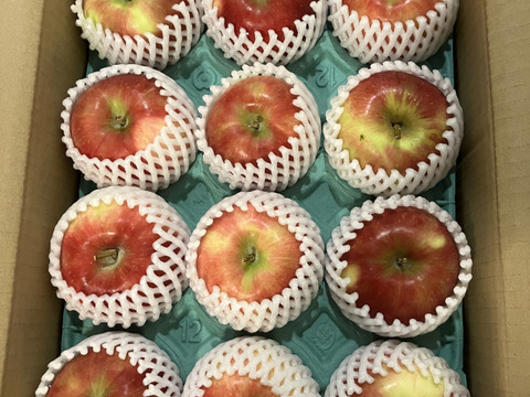 収穫中残り50ケース🧑‍🌾🍎【秒でシーズン終わります】夏あかり3キロ箱
