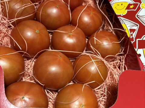 【全国トマト選手権入賞】ぜいたくトマト《冬の陣》