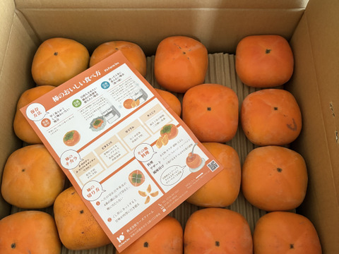 9月中旬から順次発送(自家用)和歌山県産たねなし柿M・Lサイズ(36個～40個)