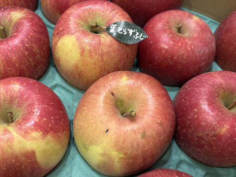 🍎5キロ🍎葉とらずふじ【家庭用】１３玉～２３玉 青森りんご リンゴ 商品ID165766