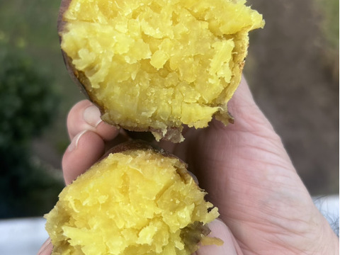 【限定‼️シルクスイート約３キロ☆なめらか食感＆甘さ上質🍠】サイズ混載 土つき