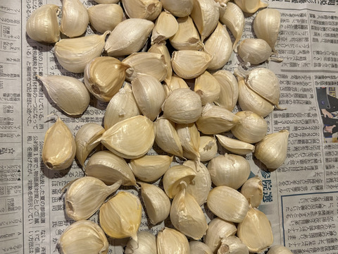 【よしき様】青森県産 令和７年産 にんにく M S玉 ２０ｋｇ 43d35e66ad62ed5142f4ffd10d3da7
