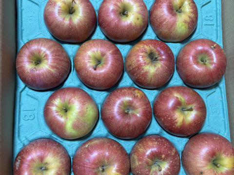 残り30ケース🍎【シナノシリーズ一番人気】シナノスイート5キロ箱 訳あり品 甘くてシャキシャキ ID12292 長野県 信州 安曇野 リンゴ 幻 幻のリンゴ 予約 希少 旬 甘い