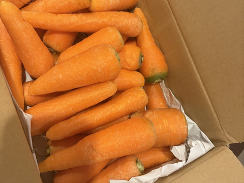 甘み旨みたっぷり！訳あり人参！栄養価コンテスト人参部門最優秀賞受賞！訳あり人参3kg 化学合成農薬・化学肥料・除草剤不使用！割れ　ヒビ　又割れ　傷　少々の虫食い　味は通常人参と同じ！　個性豊かな人参