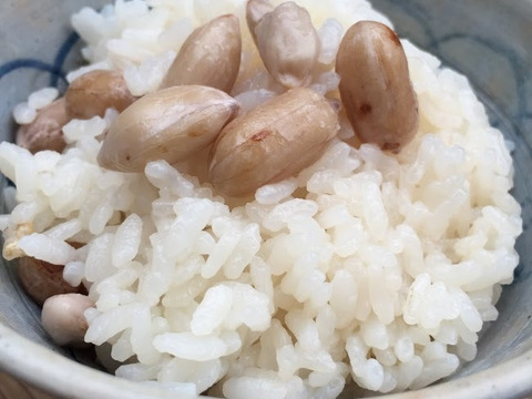 今が旬秋の味覚！生落花生R5年産【栽培期間中農薬・化学肥料不使用】「おおまさり」　レシピ付き　500g