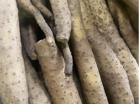 粘り抜群！鳥取県産 ねばりっこ 1kg  （宅急便コンパクト）