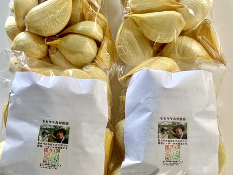 【自然農ジャンボニンニク】令和7年度産 1Kg、自然の恵100%、無施肥・農薬不使用