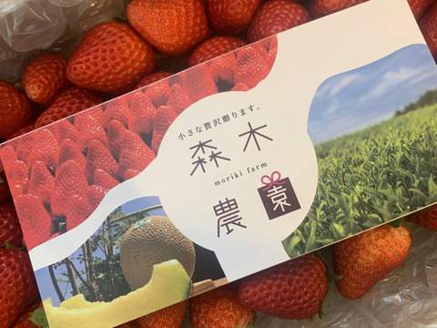 濃く甘いちご【紅ほっぺ】1000ｇ以上　◇朝どれ完熟保証◇