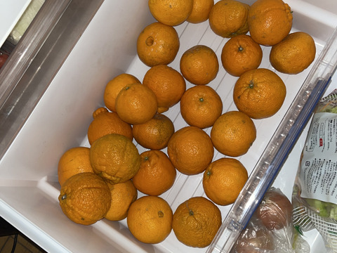 デコポン発祥地から不知火５kg（家庭用）〜雑誌「MORE」に掲載されました〜