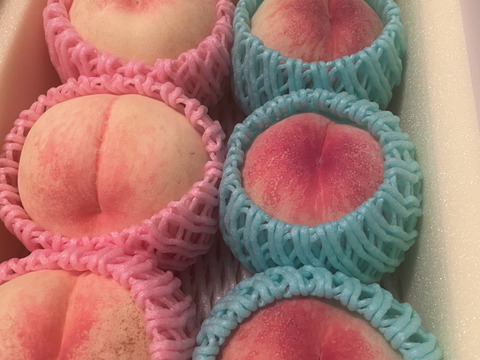 【お試し今が旬】【ご家庭用】【朝どれ】【翌日着地区限定　東京都含む】白鳳 4～6玉　(1.6～1.7㎏)