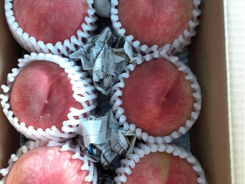 柔らかいもも♡日川白鳳♡お試しサイズ♡山形県産もも♡