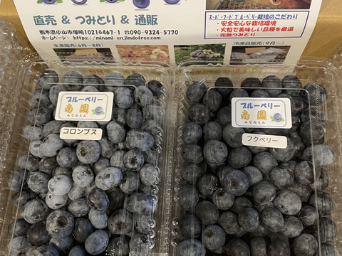 夏ギフト】ブルーベリー生果280g x 4パック『パック毎に品種表示