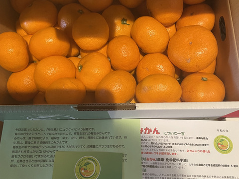 赤秀5キロ箱満杯】赤秀 節減対象農薬 特別栽培で育てたからだに