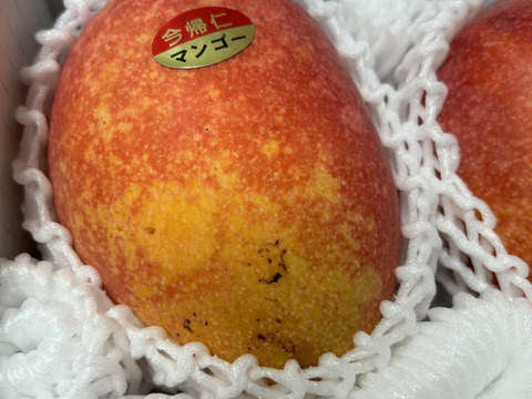 ☆数量限定☆<<ご家庭用>>沖縄県産完熟マンゴー4kg（大小サイズ