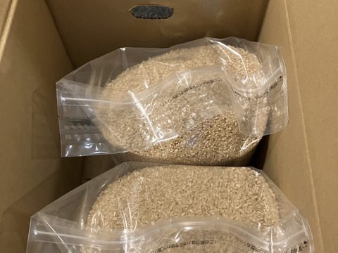 【令和7年新米】九州お米コンクール3年連続入賞中‼食感と旨みにこだわった"さがびより "玄米独特の癖がなく食べやすい！（玄米10kg）