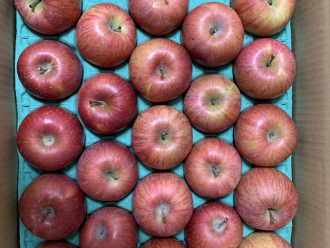 食べ切りサイズ！サンふじ２３玉（小玉ｻｲｽﾞ）5ｋｇ