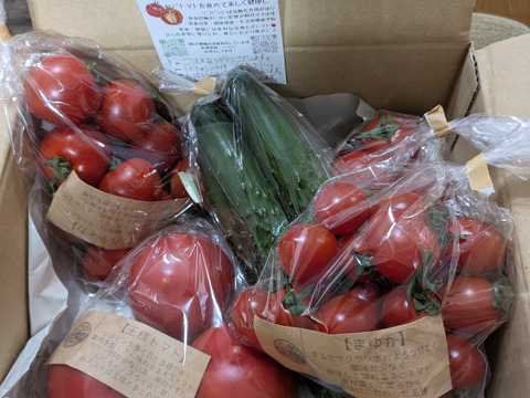 初めてご注文のお客様へ【初回限定】ぶるベジトマトのお試し！旬🍅の詰合せ♪（とまと４品種＋朝モギきゅうり）