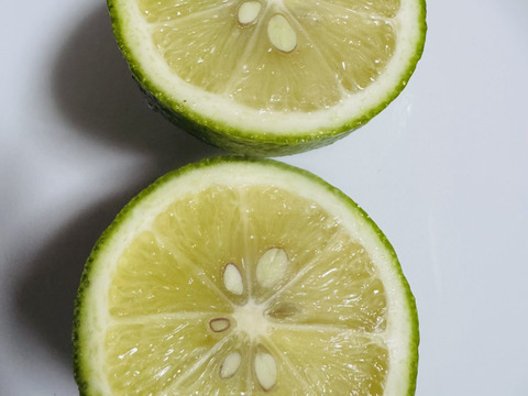 甘酸っぱい　グリーンレモン1ｋｇ　和歌山県産　ユーレカ【防腐剤・ワックス不使用】