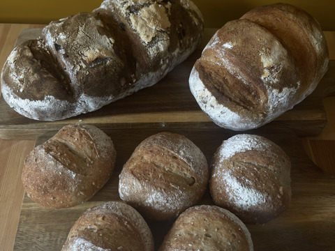 【希少種】３種食べ比べ！バケッド２本　プチバケット5個