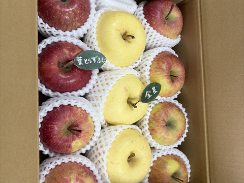 ★★大幅値下げ★★【アワード受賞福袋】【食べ比べ】🍎葉とらずふじ⭐️金星（９～１１玉）約３キロ箱 ID179783 青森 りんご