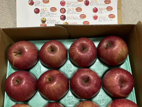 低農薬で皮ごとガブり！赤りんご小玉サイズ🍎2kg 家庭用丸かじりサイズ【小玉りんご】