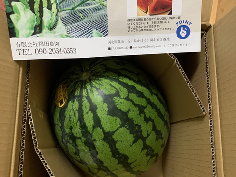 金色羅皇☆丸福すいか（大玉・８kg以上）